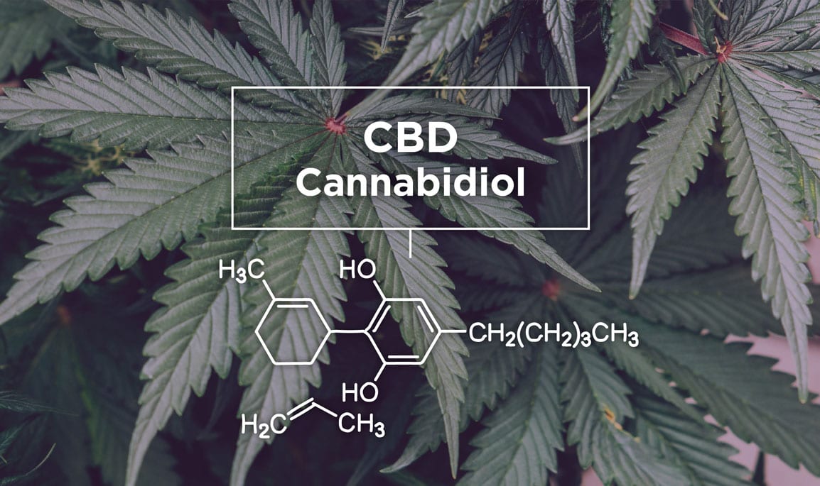 Cannabidiol Testing For Cannabis and Hemp