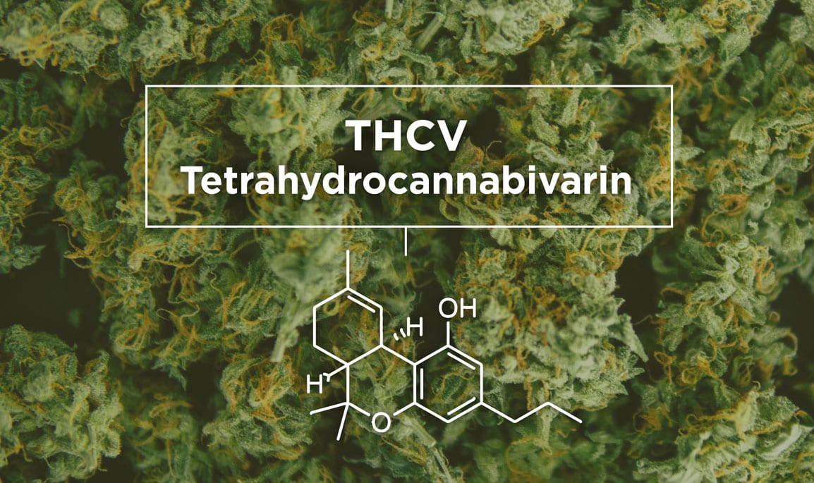 Tetrahydrocannabinolic Acid (THCA) Testing Of Cannabis